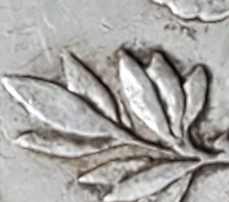 1878-Morgan-Dollar-7-Feather-Type-2-Double-Tail-Feathers